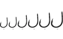 Gamakatsu Hook LS-4123F (BLACK)