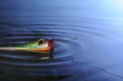 Knot 2 Kinky 1x1 Titanium 4,5m -Aanbiedingen Vissen Satie Winkel AQ NT00815Cr 6