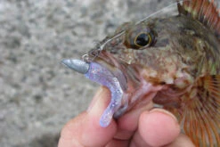 Decoy SN-1 Round Snap -Aanbiedingen Vissen Satie Winkel DSN10r 5