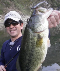 Fish Arrow J Buzz -Aanbiedingen Vissen Satie Winkel FA 4562178065039r 4