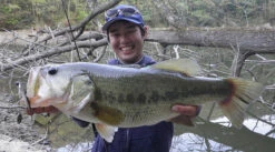 Fish Arrow J Buzz -Aanbiedingen Vissen Satie Winkel FA 4562178065039r 5