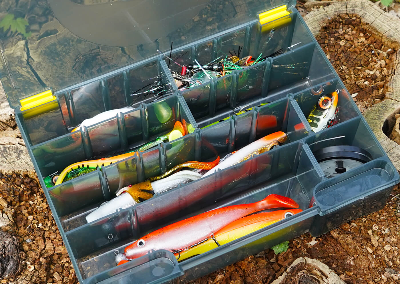 Aanbiedingen Vissen Satie Winkel -Aanbiedingen Vissen Satie Winkel TBX Large 80 01